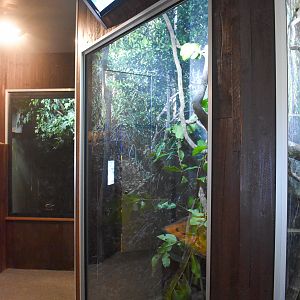 Cairns Koalas and Creatures (opened in 2024): Green Tree Python enclosure