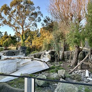 Asian Small-clawed Otter Exhibit