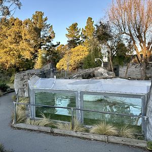 Asian Small-clawed Otter Exhibit