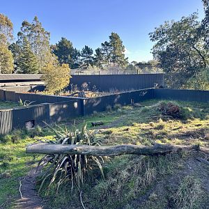 Tasmanian Devil Exhibit