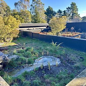 Tasmanian Devil Exhibit