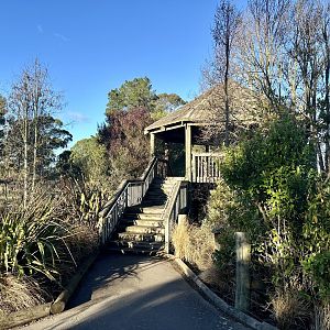 Sumatran Tiger Viewing Platform