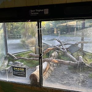 Reptile House (Tortoise Exhibit)