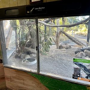 Reptile House (Lace Monitor Exhibit)