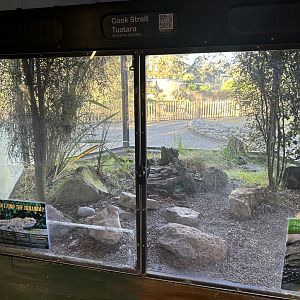 Reptile House (Tuatara Exhibit)