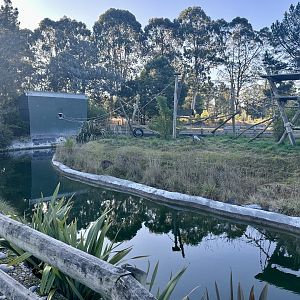 Spider Monkey Exhibit
