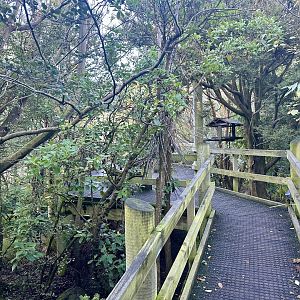 New Zealand Lowland Aviary