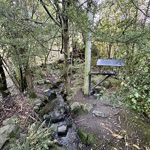 New Zealand Lowland Aviary
