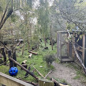 Kea Aviary