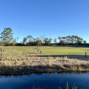 Southern White Rhinoceros Exhibit