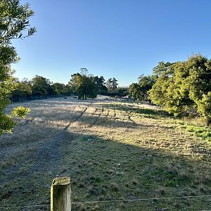 Main Cheetah Exhibit
