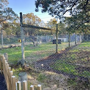 Cheetah Holding Yards