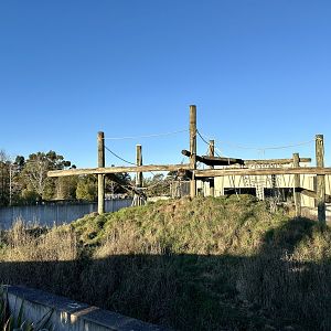 Great Ape Centre (Paddock One)