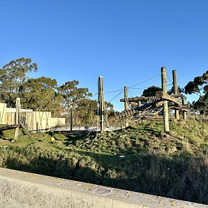 Great Ape Centre (Paddock One)