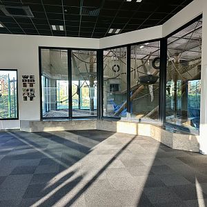 Great Ape Centre (Indoor Viewing)