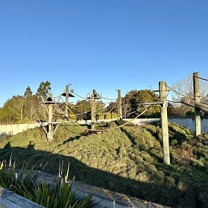 Great Ape Centre (Paddock Two)
