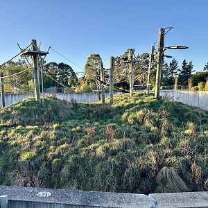 Great Ape Centre (Paddock Two)