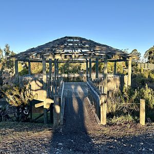 Siamang Island Viewing Platform