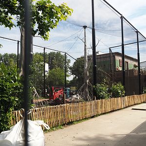 New African mangrove aviary, opening in July, 2024-06-29