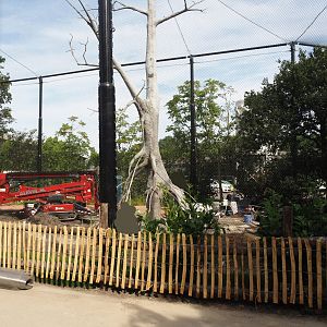 New African mangrove aviary, opening in July, 2024-06-29