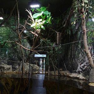 Gibbon Haus: Mangrove paludarium part 3