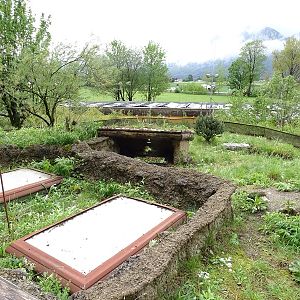 Gibbon Haus: Hermann's tortoise enclosure