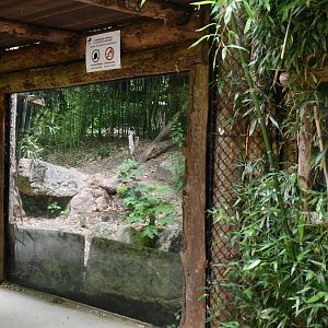 Fossa exhibit