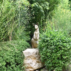 Kangaroo stature at the start of the Oceania section