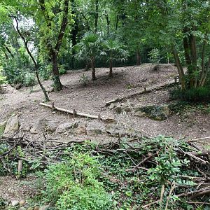 Parma Wallaby exhibit