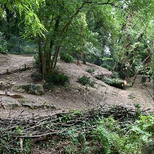 Parma Wallaby exhibit