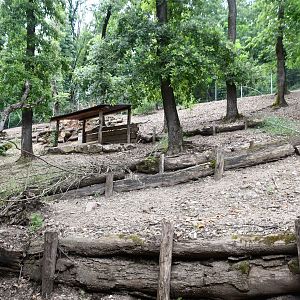 Bennett's Wallaby exhibit