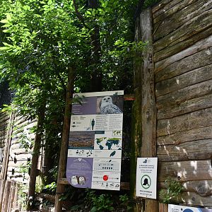 Snowy Owls and Siberian Eagle Owl aviaries