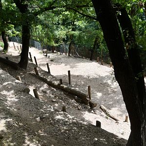 Urial exhibit (view from above)