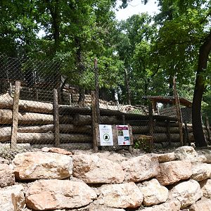Urial exhibit (view from below)