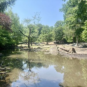 Pere David’s Deer Exhibit