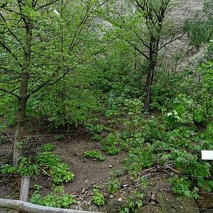 Enclosure for rhea and mara