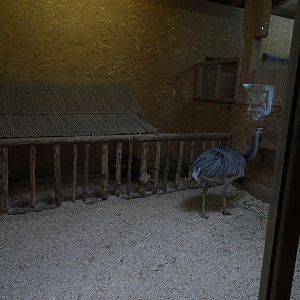 Alpaca house: Indoor enclosure for rhea and mara