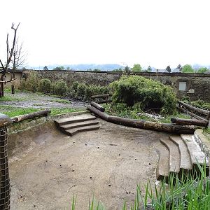 Lowland tapir enclosure