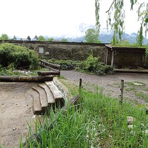 Lowland tapir enclosure