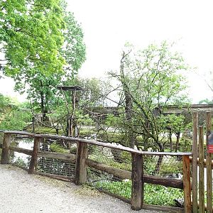 Capuchin + capybara enclosure