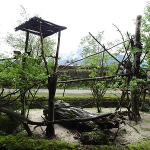 Capuchin + capybara enclosure