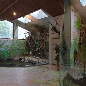 South-America House: Squirrel monkey indoor enclosure