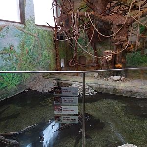 South-America House: Squirrel monkey indoor enclosure