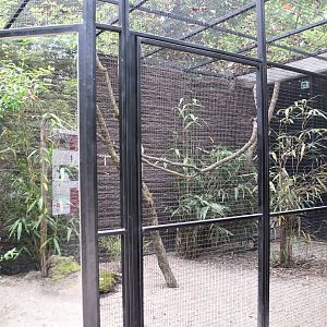 Pheasant aviaries