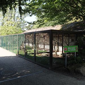 Australian parrot aviary block, 2024-05-23