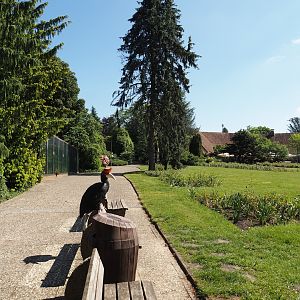 Park view towards Pukara and the Rosencafé restaurant with walkway alongside aviaries, benches and gardens, 2024-05-23