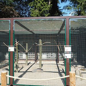 Red-tailed black cockatoo and rosella aviary, 2024-05-23