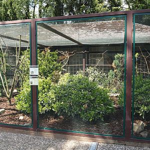 Kagu and Horned parakeet aviary, 2024-05-23