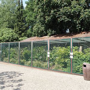 Australasian parrot aviary, 2024-05-24