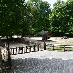 Farm (zebus, goats, alpacas,...)